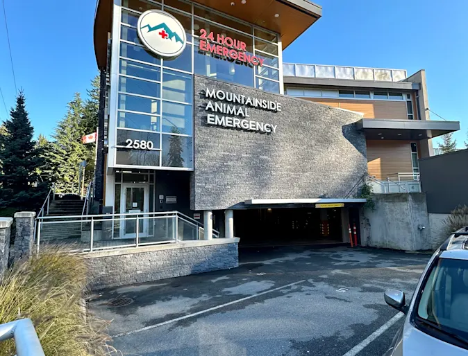 Mountainside Animal Hospital Exterior Mountainside Animal Hospital Exterior