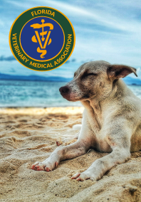 FVMA - Florida Veterinary Medical Association