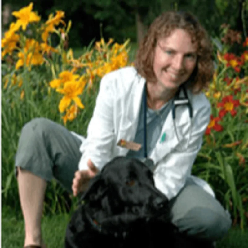 Caroline Balint at Danvers Animal Hospital Caroline Balint at Danvers Animal Hospital
