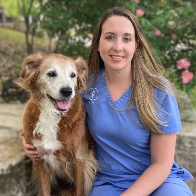 Dr. Erin Meola Dr. Erin Meola