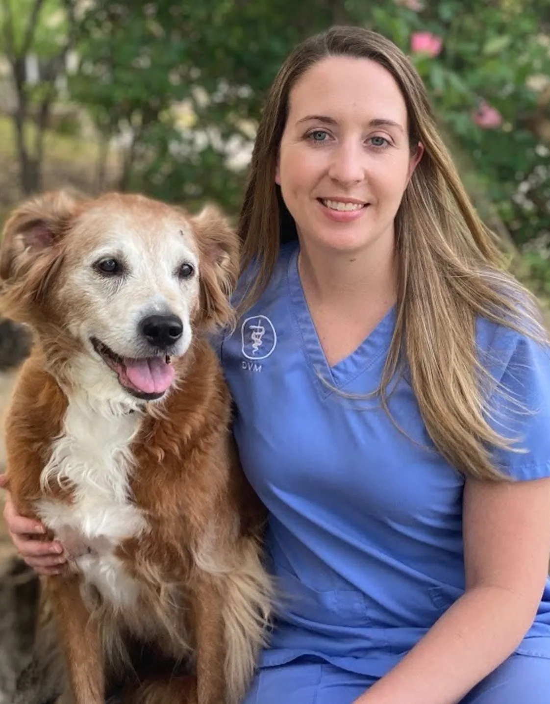 Dr. Erin Meola Dr. Erin Meola