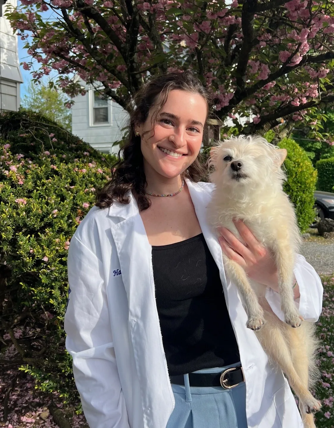 Dr. Hannah Brotman Dr. Hannah Brotman