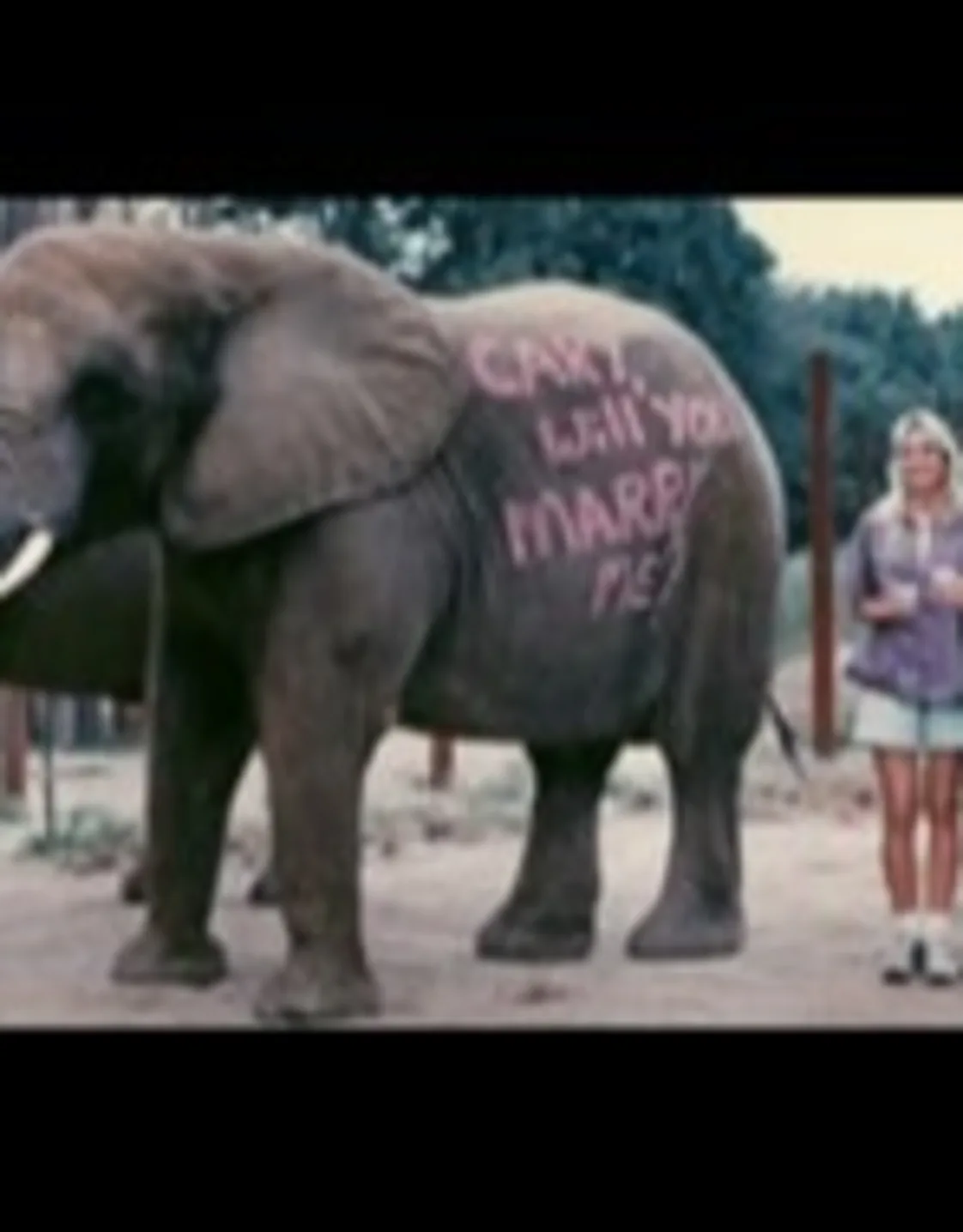 Dr. Cary Barrett Dr. Cary Barrett