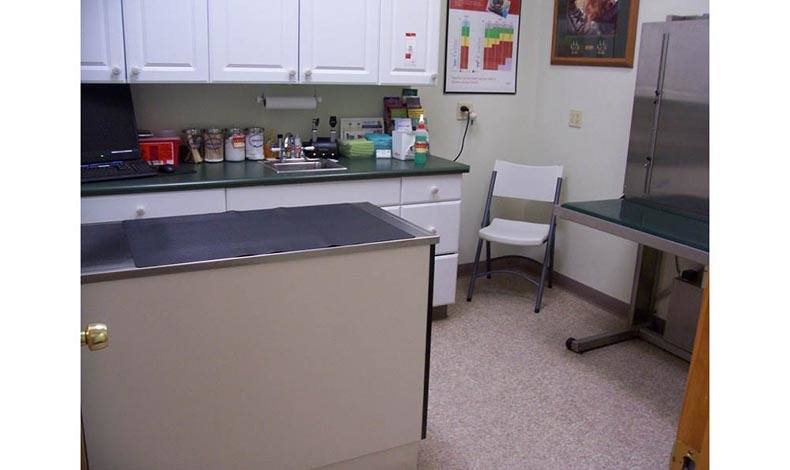 Marbletown Animal Hospital Examination Area