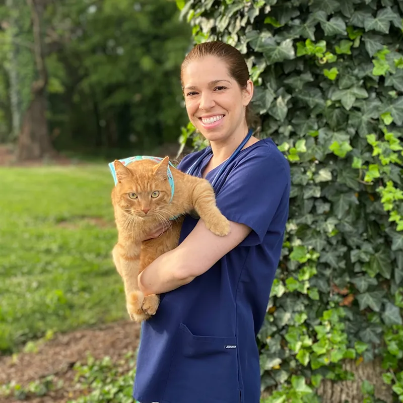 Dr. Jena Brown Dr. Jena Brown