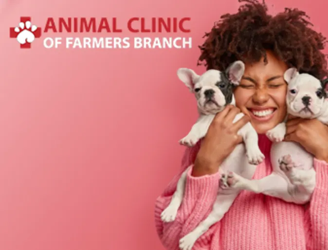 $20 off promotion for wellness visits and surgery services on Tuesdays and Thursdays $20 off promotion for wellness visits and surgery services on Tuesdays and Thursdays