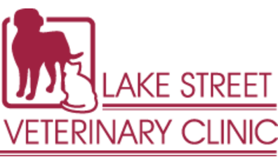 Lake Street Veterinary Clinic Logo