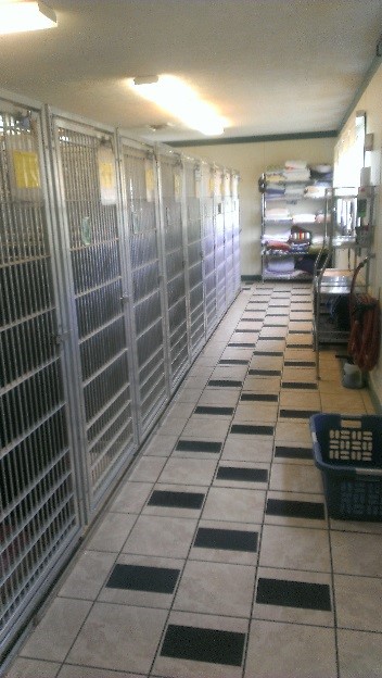 Seven Bends Veterinary Hospital Dog Run