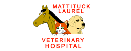 Mattituck-Laurel Veterinary Hospital Logo Mattituck-Laurel Veterinary Hospital Logo