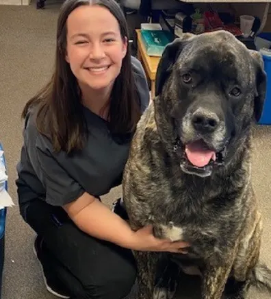Ashley, Vet Assistant at Westover Animal Clinic