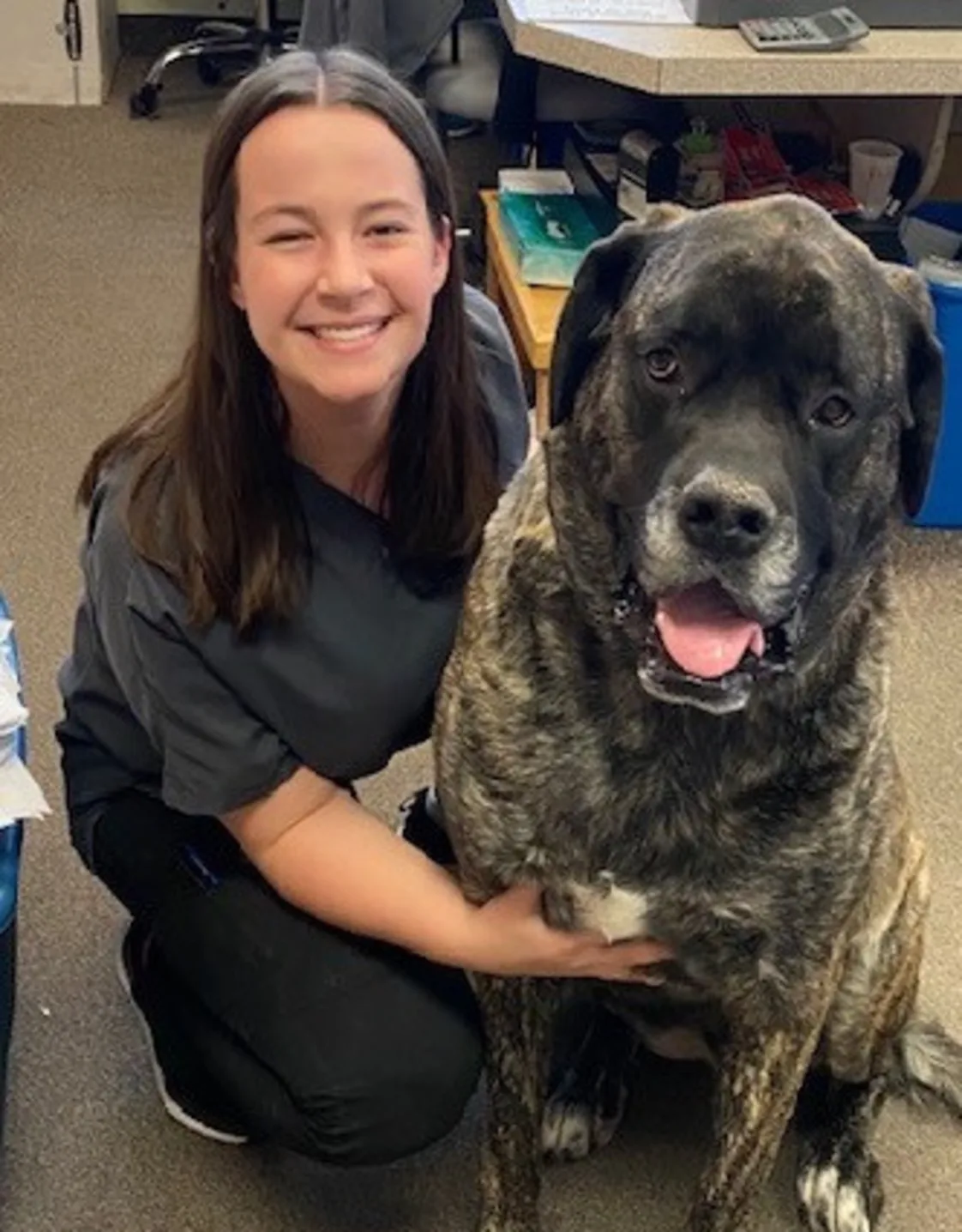 Ashley, Vet Assistant at South Paw Animal Care Ashley, Vet Assistant at South Paw Animal Care