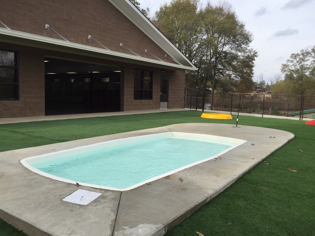 Dog daycare pool area