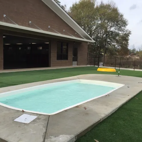 Dog daycare pool area
