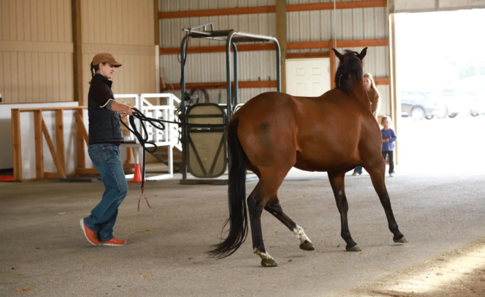 vets performing exam vets performing exam