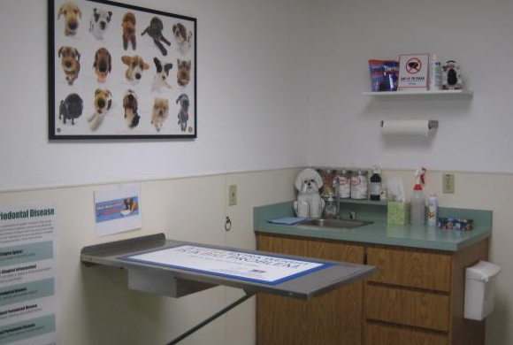 Merced Animal Medical Center Exam Room