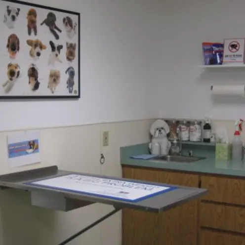 Merced Animal Medical Center Exam Room
