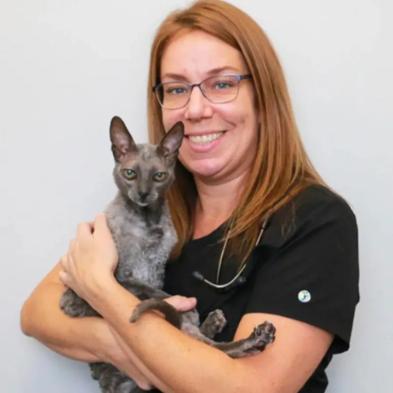 Dr. Suvi Frayn Dr. Suvi Frayn