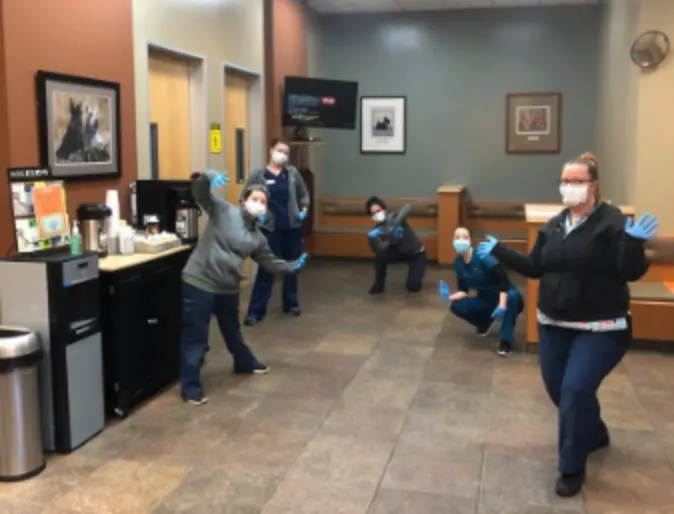 Veterinarians Taking a Silly Group Photo at SAGE Veterinary Center Veterinarians Taking a Silly Group Photo at SAGE Veterinary Center