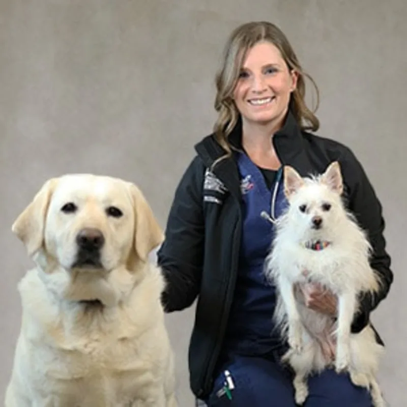 Amanda Hilliard smiling holding a small white dog and kneeling next to a yellow lab Amanda Hilliard smiling holding a small white dog and kneeling next to a yellow lab