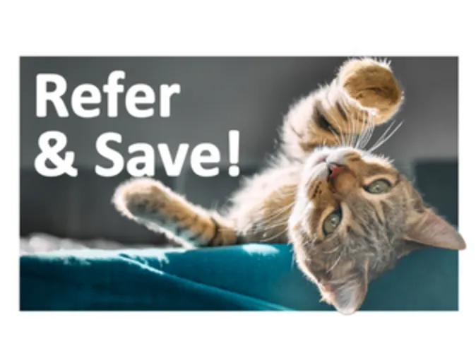 Client Referral Program Client Referral Program