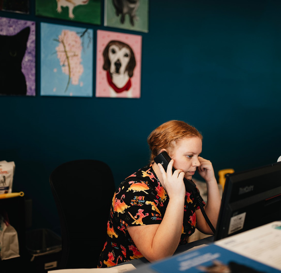 Front desk receptionist on the phone sitting at a desk