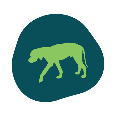 Icon of a dog walking