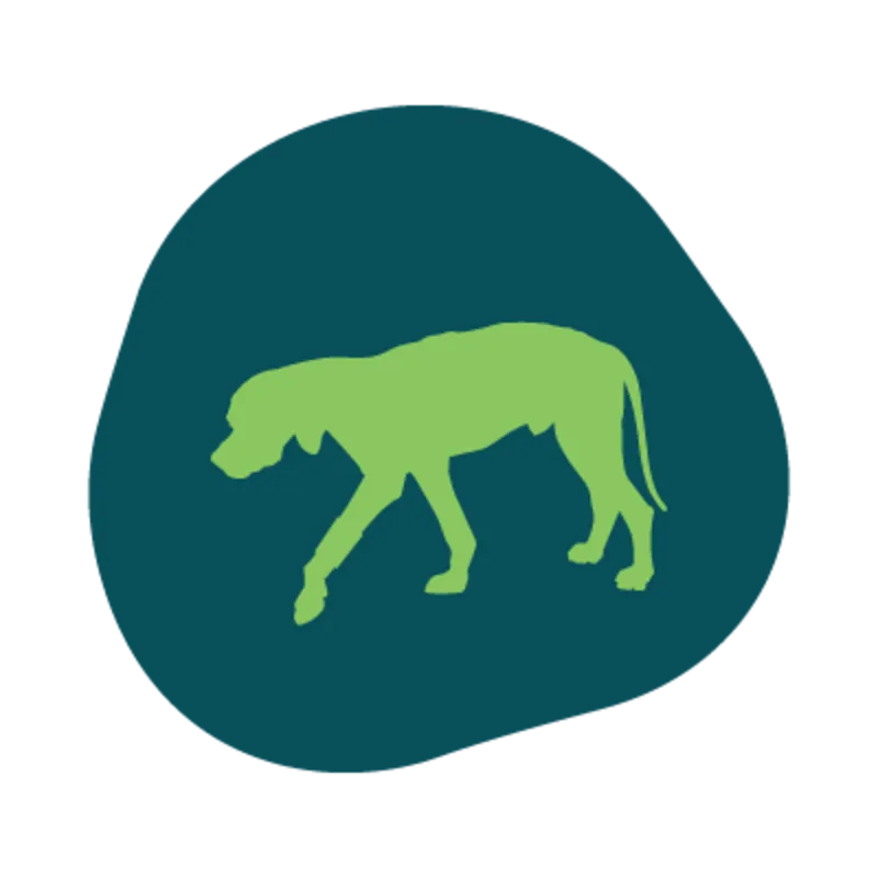 Icon of a dog walking Icon of a dog walking