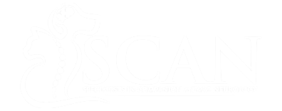 Specialists in Companion Animal Neurology (SCAN) Logo Specialists in Companion Animal Neurology (SCAN) Logo