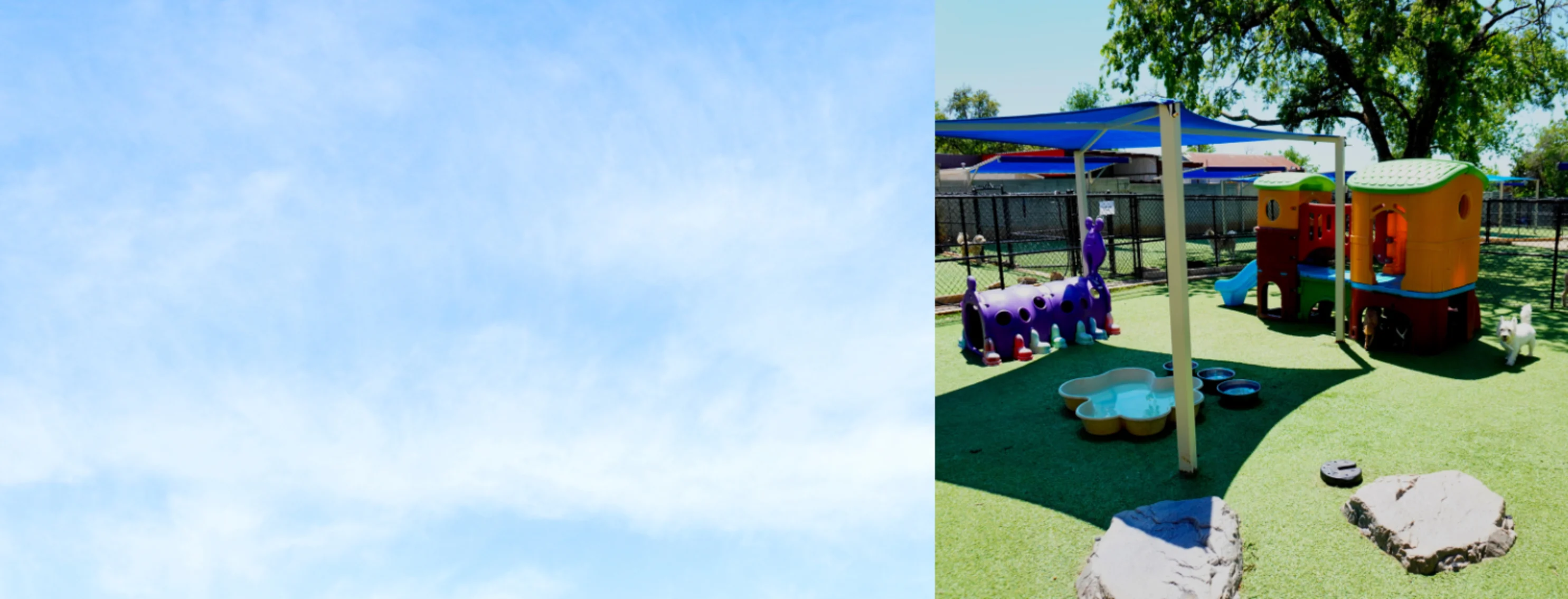 Boarding & Daycare Area at Hill Country Animal Hospital Boarding & Daycare Area at Hill Country Animal Hospital