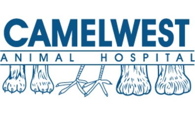 Camelwest Animal Hospital-HeaderLogo