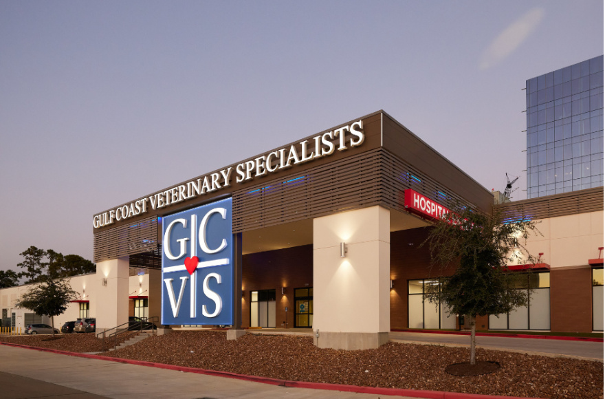 Gulf Coast Veterinary Specialists (GCVS) Gulf Coast Veterinary Specialists (GCVS)