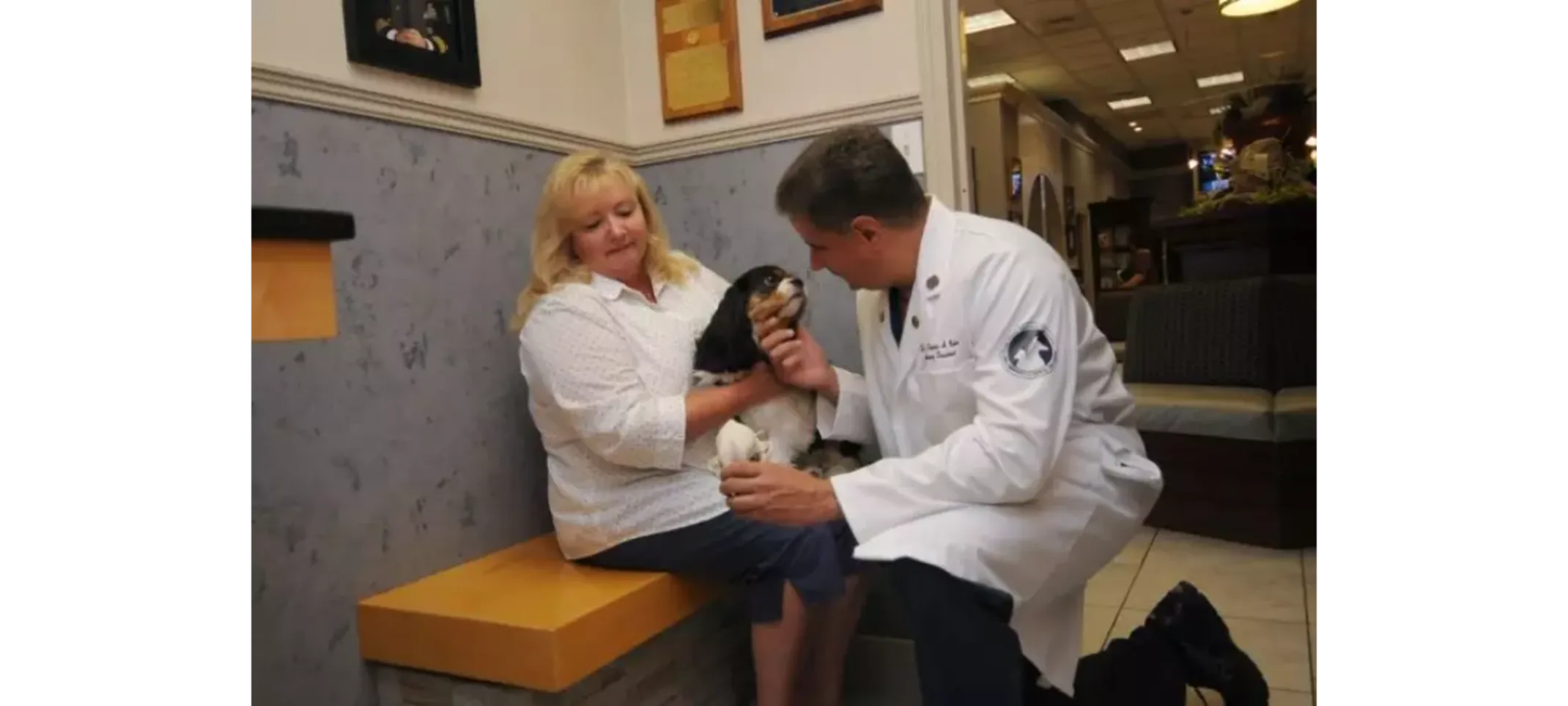 Our Loving Veteirnarians Two veterinarians examining a dog