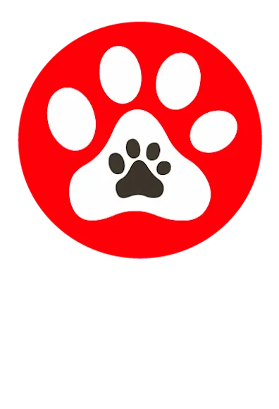dog paws red dog paws red