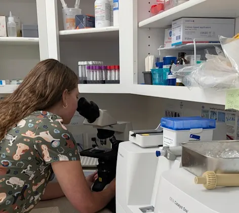 Woman looking into microscope Woman looking into microscope