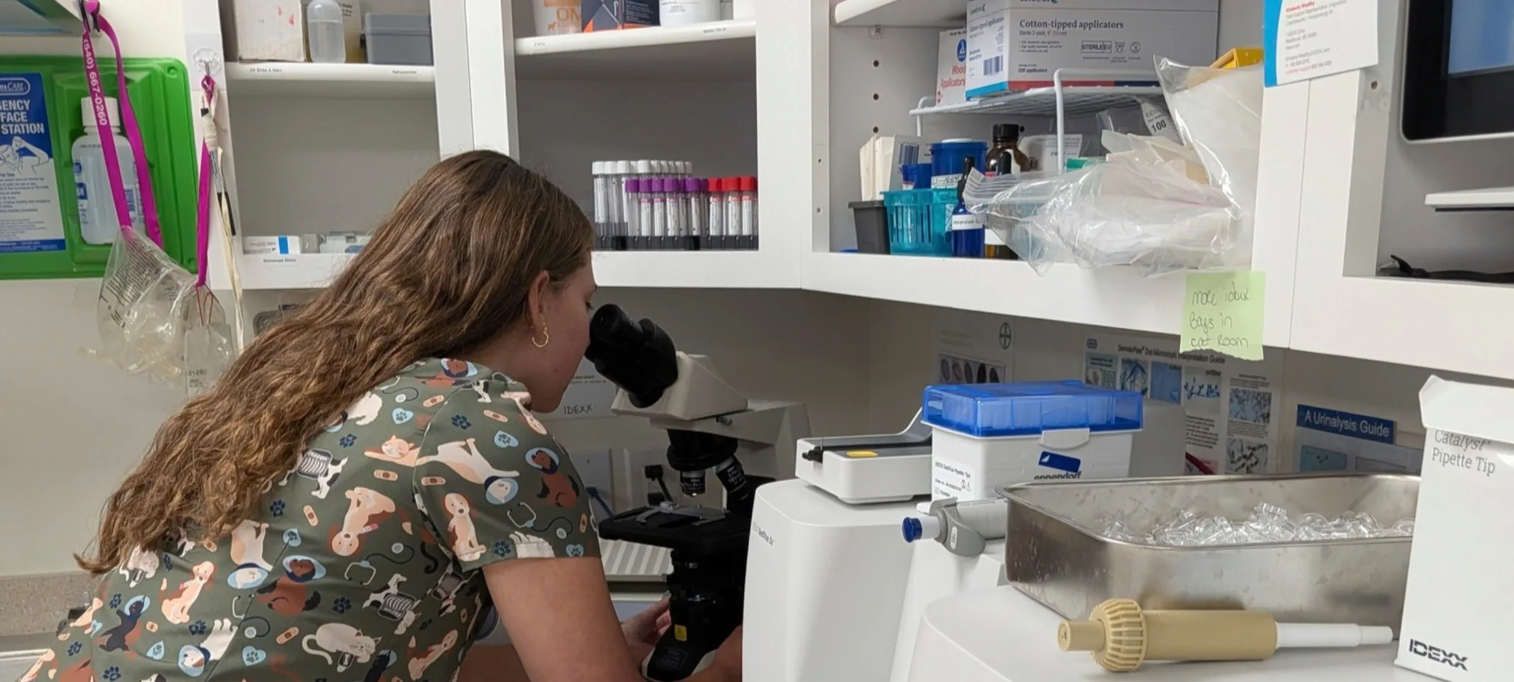 Woman looking into microscope Woman looking into microscope
