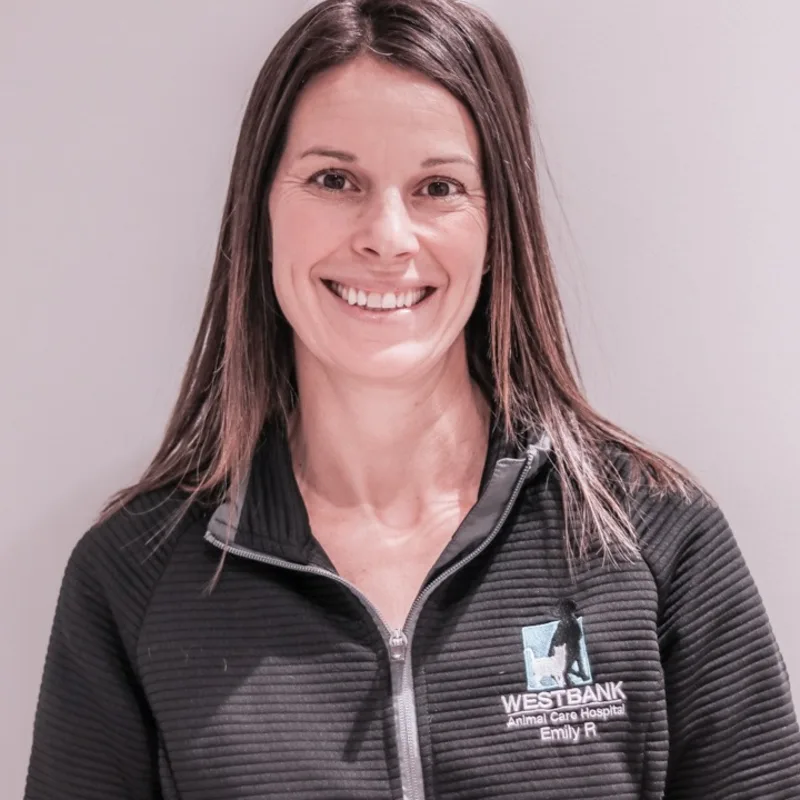 Dr. Emily Robinson Dr. Emily Robinson