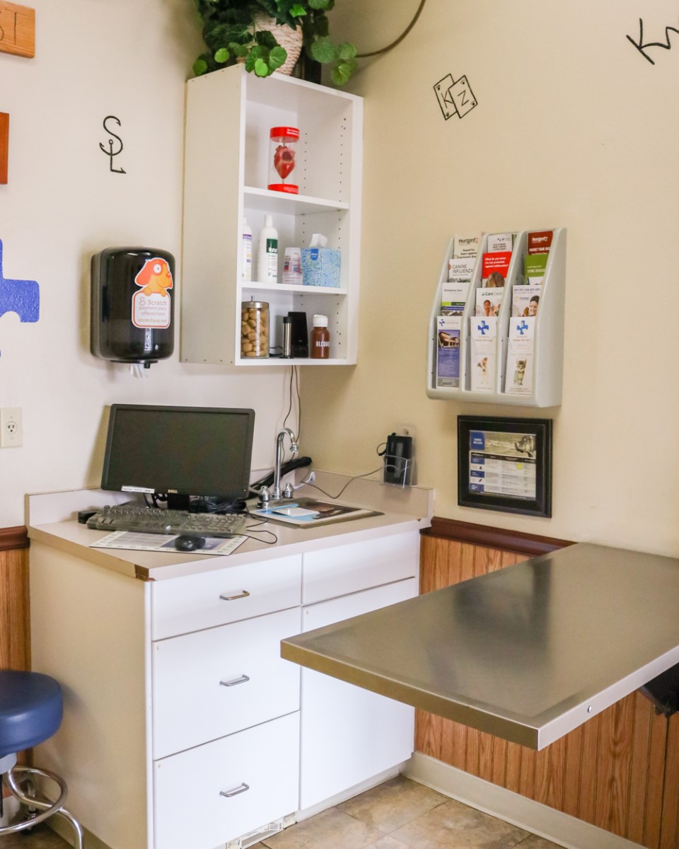 Exam room and examination table and computer area at Brentwood Family Pet Care