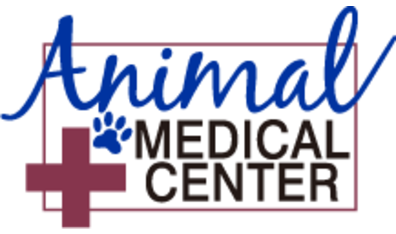 Endocrinology | Animal Medical Center of Hattiesburg — Endocrinology clinic in Hattiesburg, MS