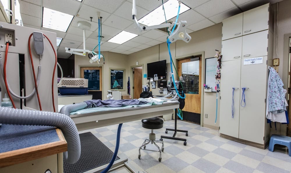 Kitsap Veterinary Hospital Surgery Suite