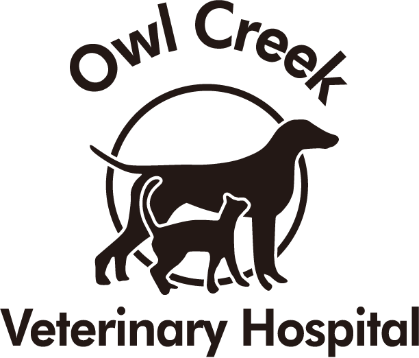 Owl Creek Veterinary Hospital HeaderLogo