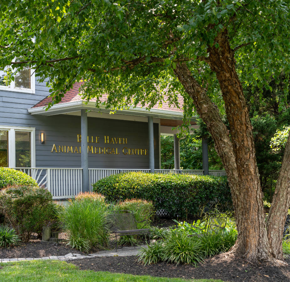 Belle Haven Animal Medical Centre sign