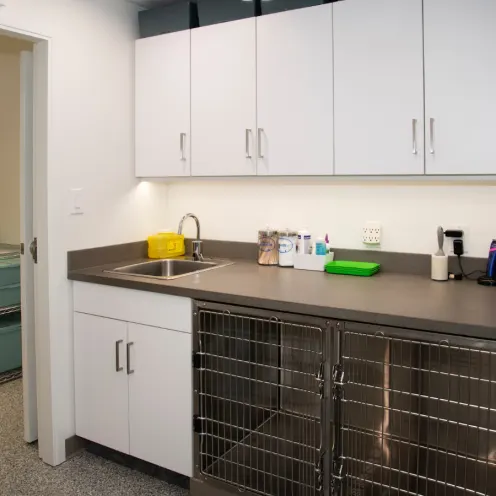 Prep room with kennels and cabinets