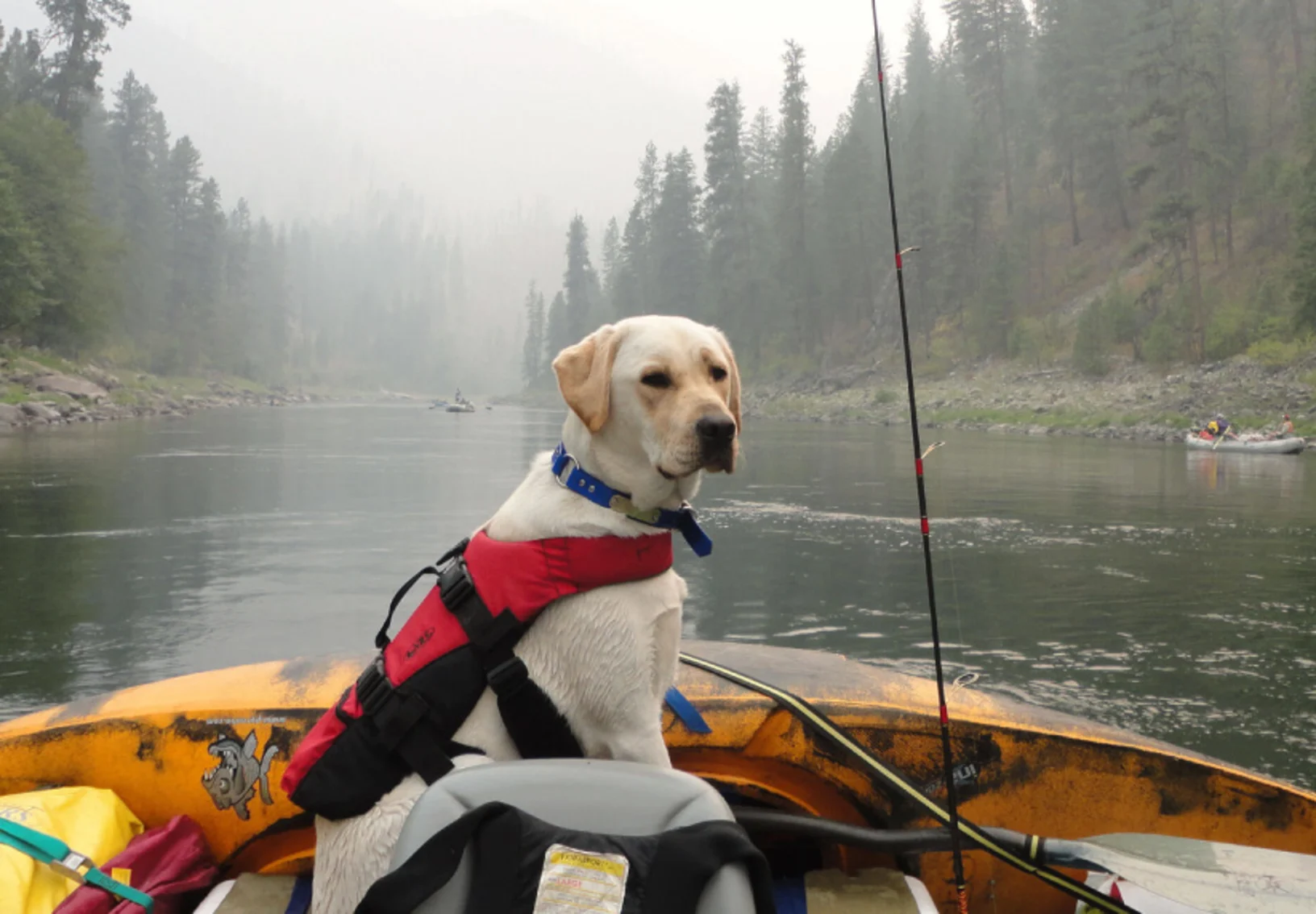 White lab sitting in canoe on a river during a cloudy day