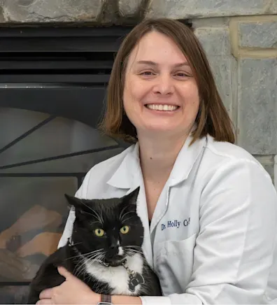 Dr. Holly Connolly Dr. Holly Connolly