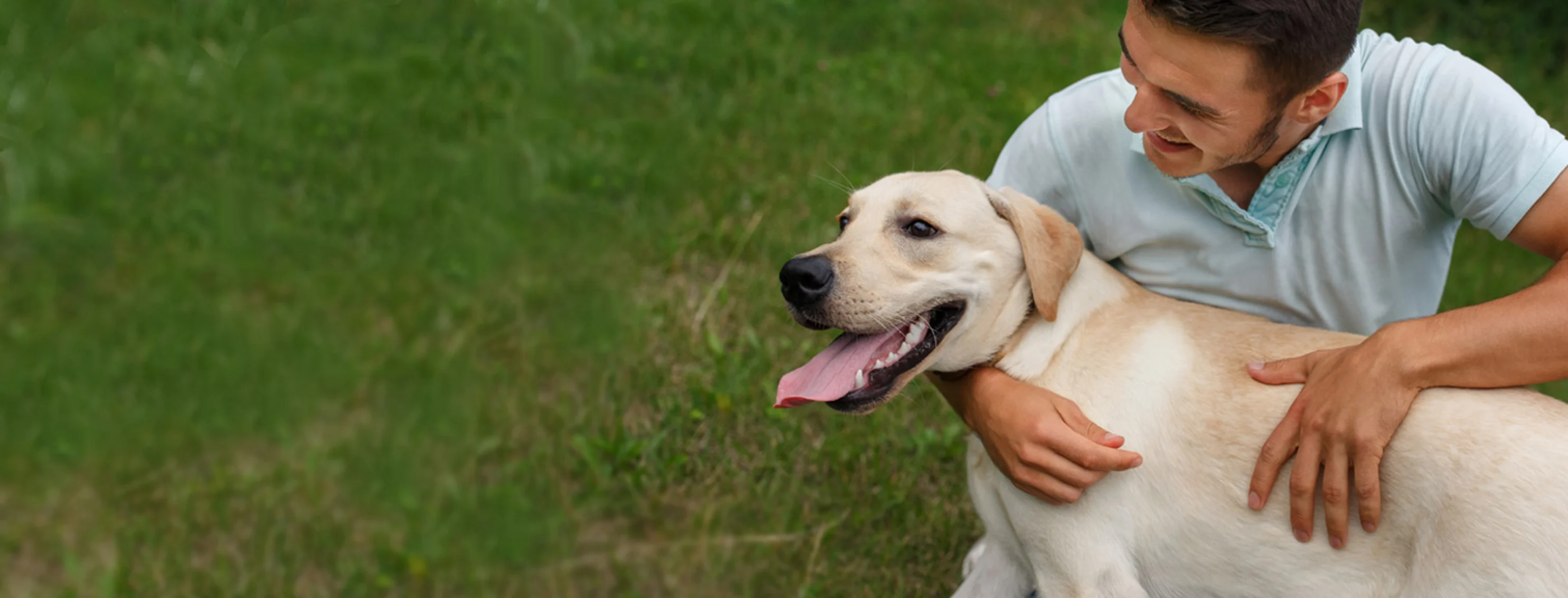 Man with his dog in a field Man with his dog in a field