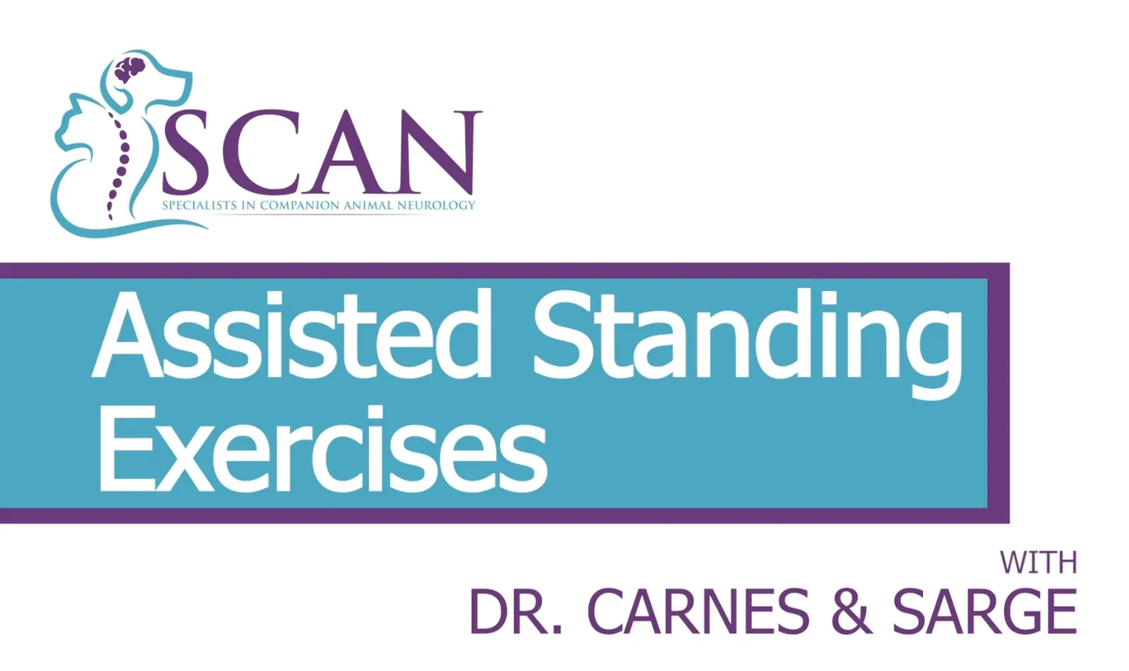 SCAN presents Assisted Standing Exercises with Dr. Carnes