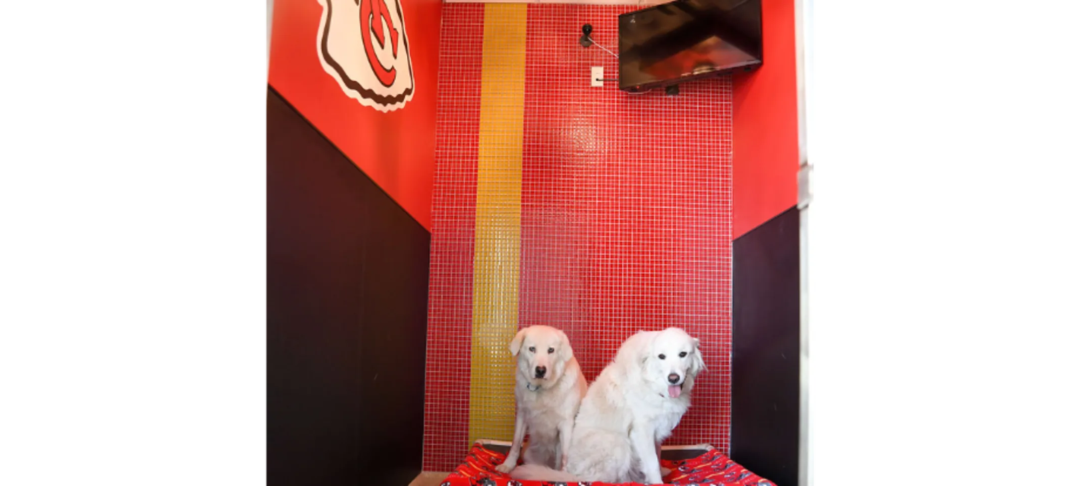 Kansas City Suite Kansas City Suite