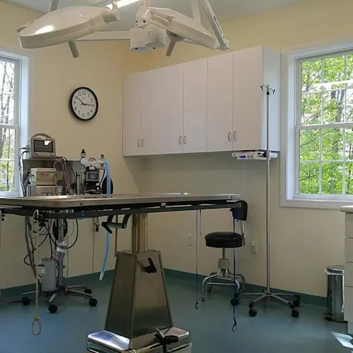 Exam room. Exam room.