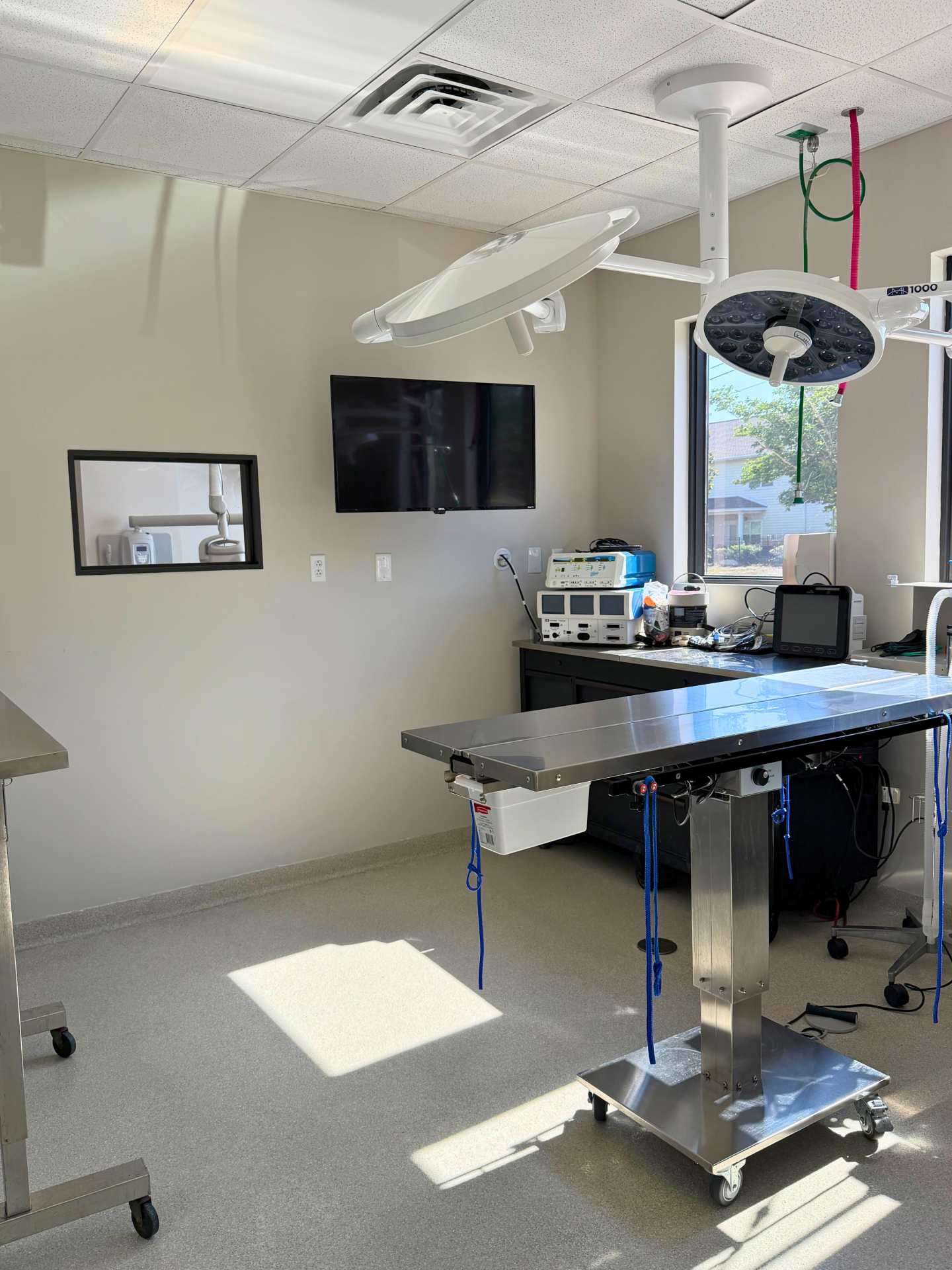 Surgery Suite