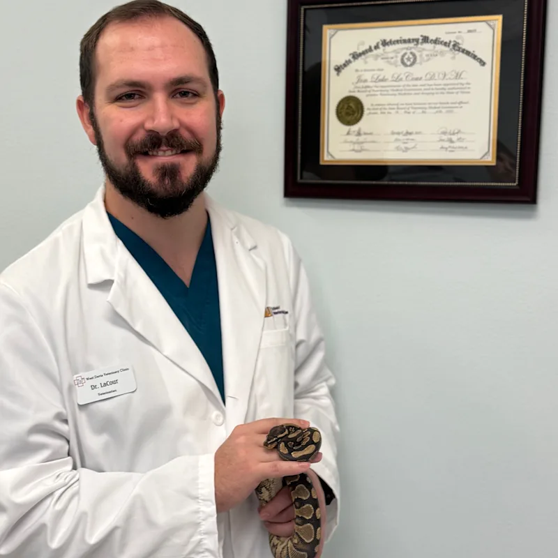 Dr. Jon LaCour Dr. Jon LaCour